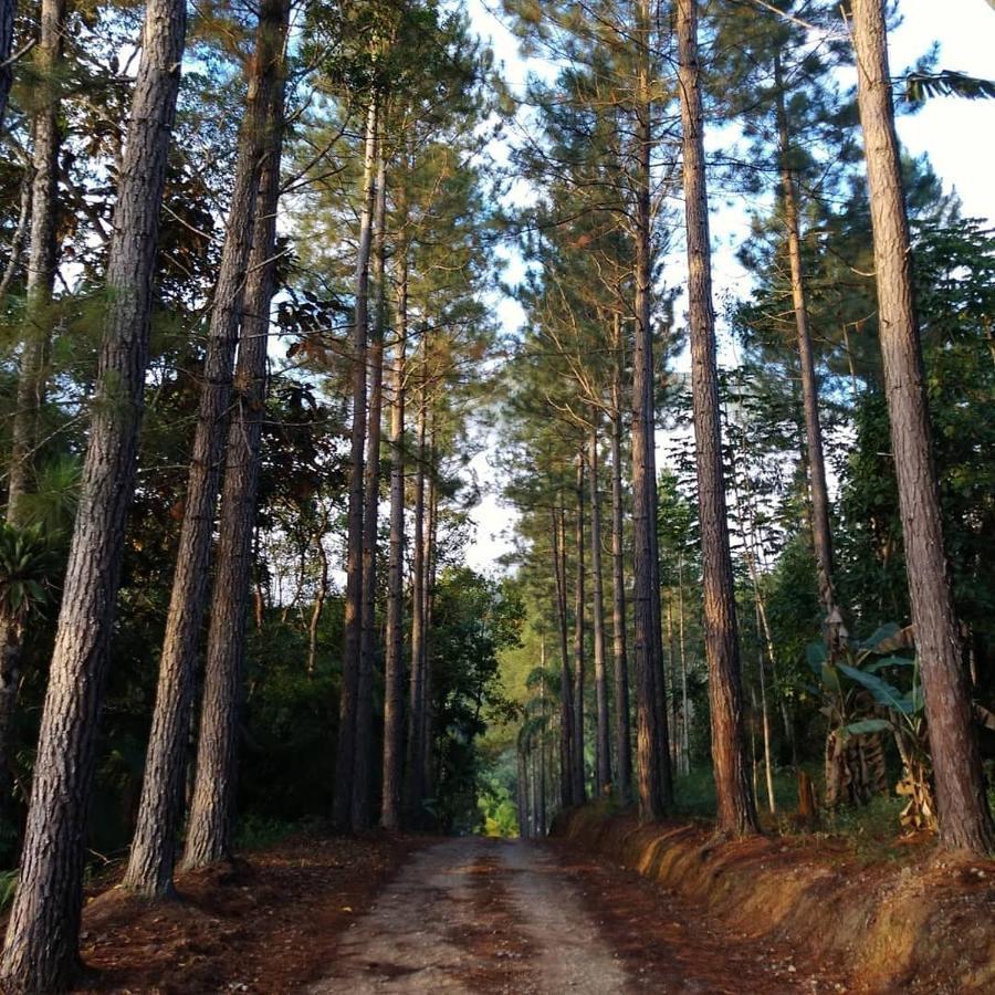 Guabiruba Hotel Rural Sitio Do Sol מראה חיצוני תמונה